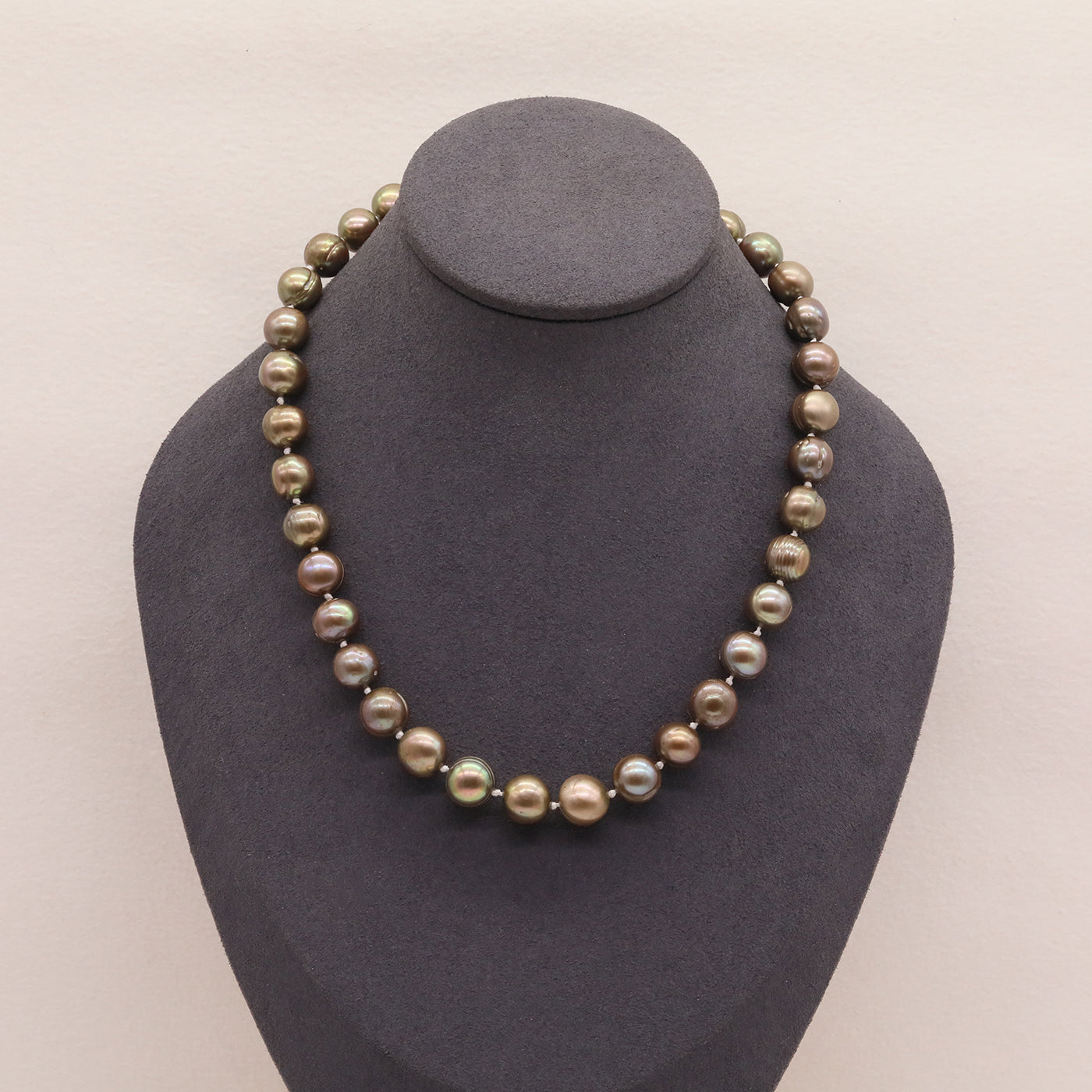 XL2501GOLDEN-01