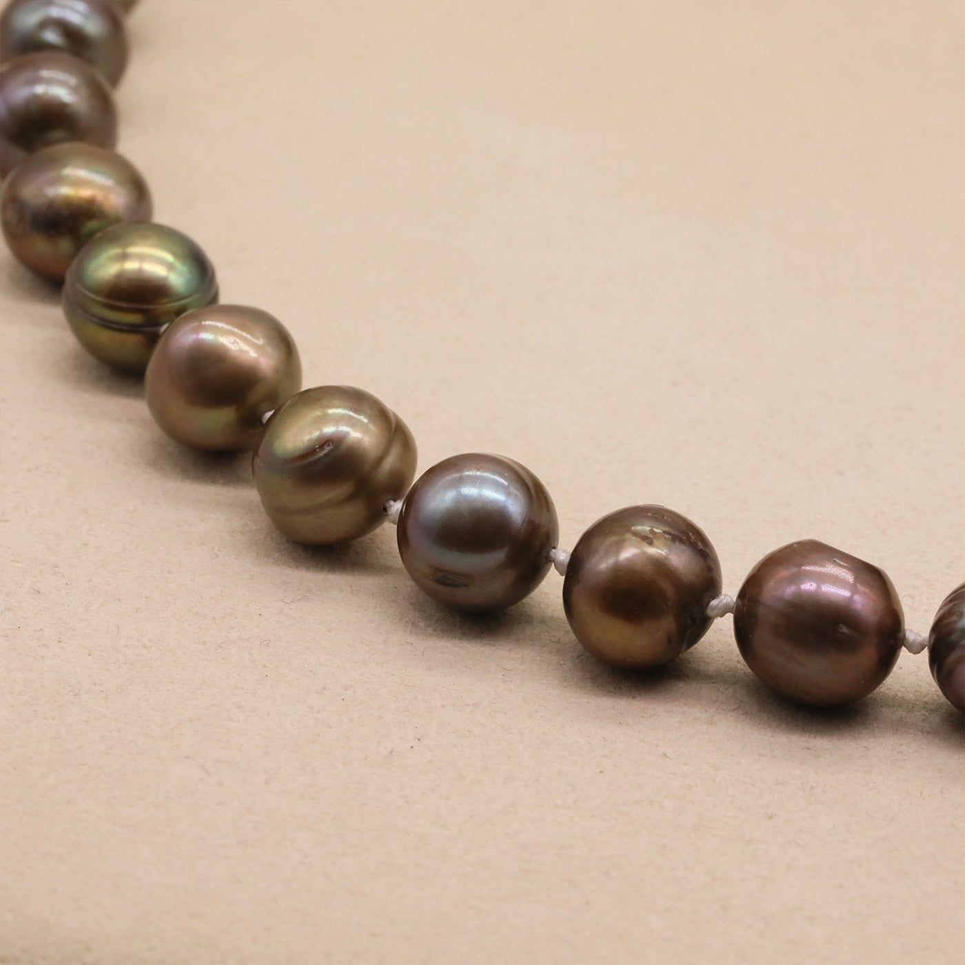 XL2501GOLDEN-01